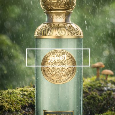 WhatsApp Image 2026-01-27 at 13.17.34